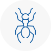 Ant Removals In Chepping