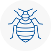 Bed Bug Extermination In Chepping