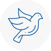 Bird Prevention Chepping