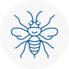 Chepping Hornet Nest Removals
