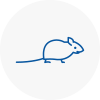 Mice Exterminators In Chepping