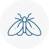 Moth Control Specialists In Chepping