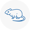 Rat Control Chepping