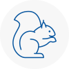 Chepping Rodent Removals