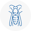 Chepping Wasp Nest Removal